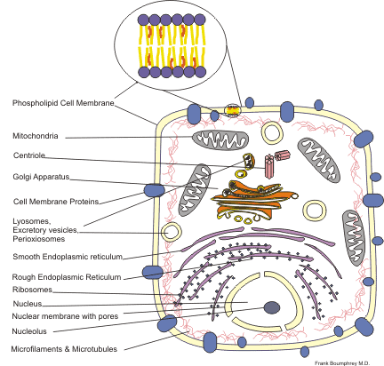 NCERT fingertips biology PDF Topic 1