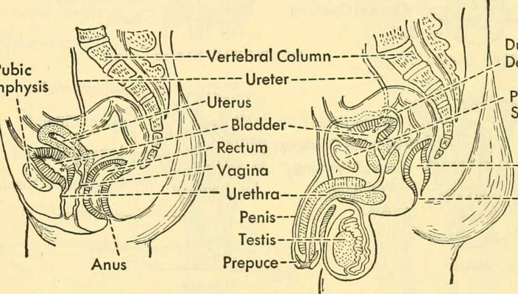 neet solved papers biology