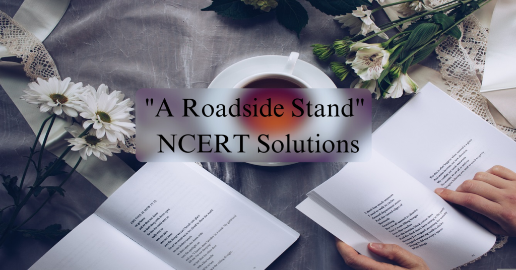 A Roadside Stand NCERT Solutions