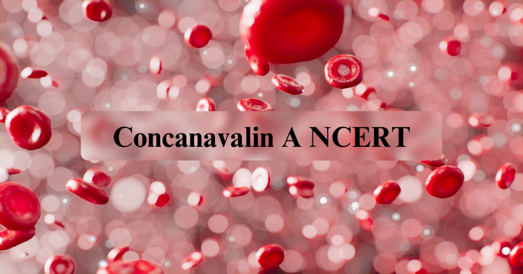 Concanavalin-A-NCERT