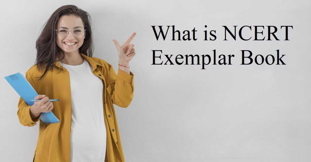 What is NCERT Exemplar Book